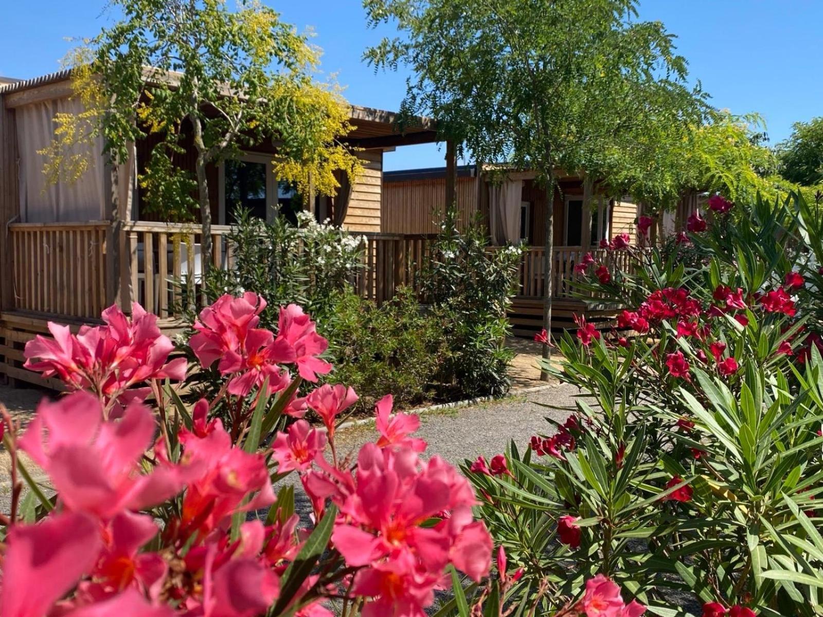 מלגרט דה מאר Camping Resort Els Pins מראה חיצוני תמונה